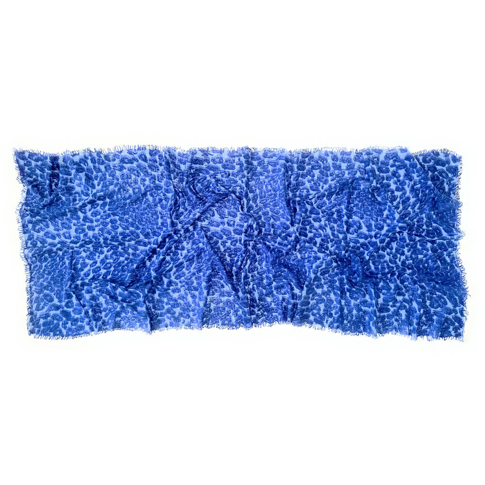 Animal life blue