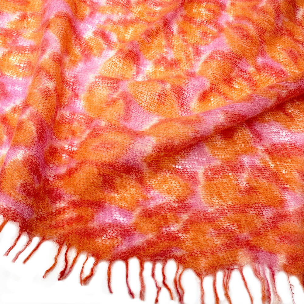 Animal life coral