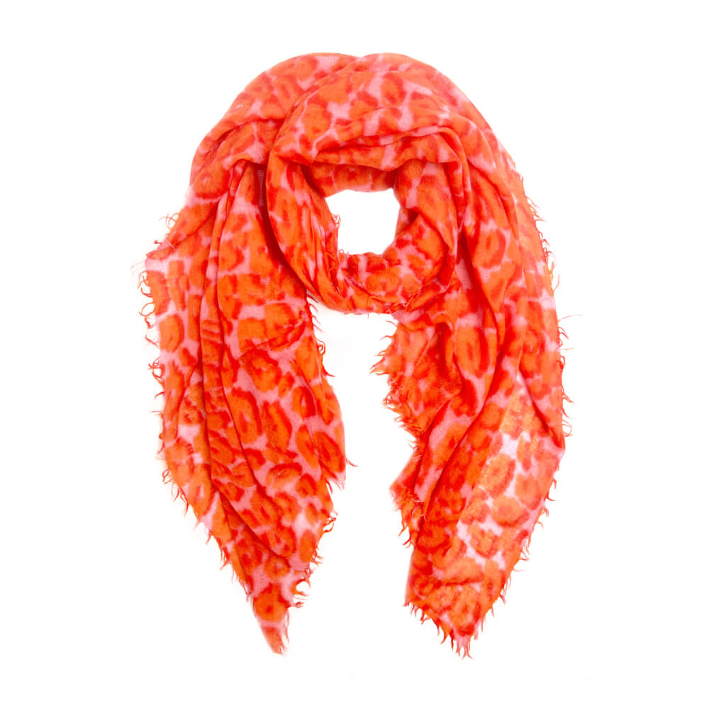 Animal life coral