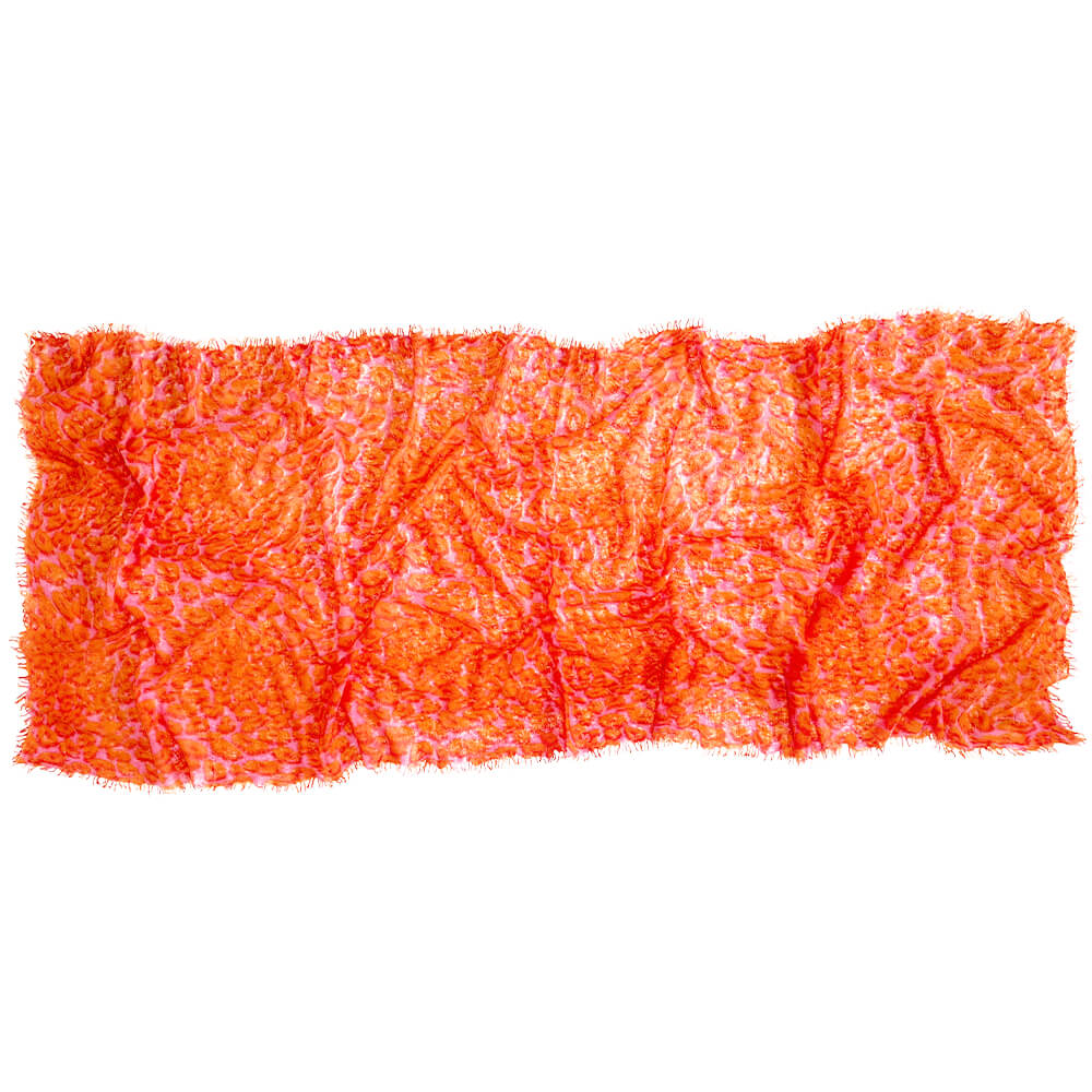 Animal life coral